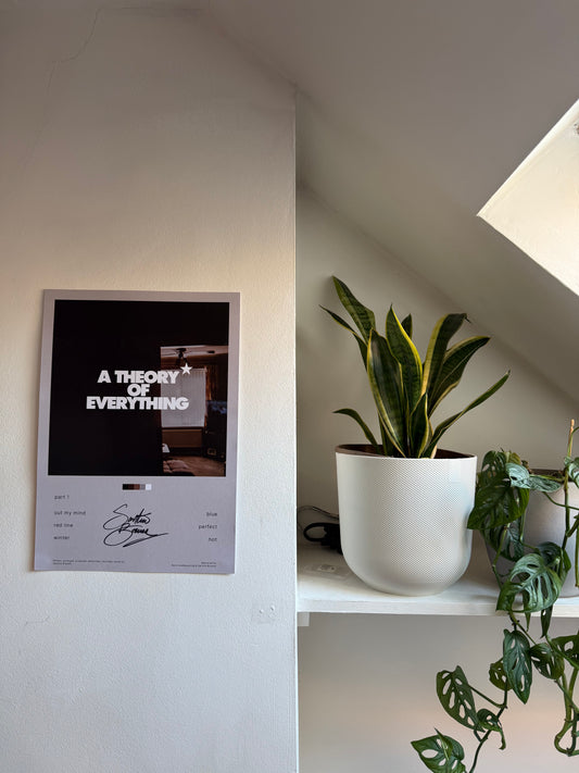 A THEORY* OF EVERYTHING Limited Edition A3 Art Print [Signed!]